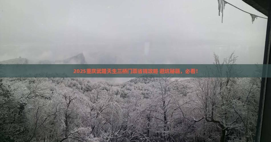 蚌埠去重庆武隆天生三桥门票