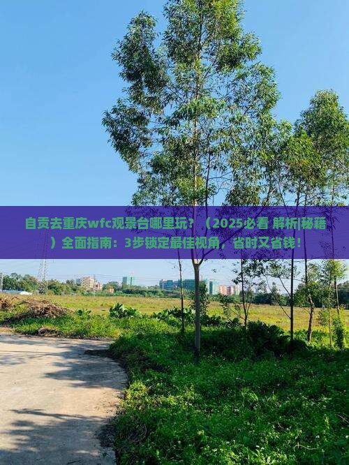 自贡去重庆wfc观景台哪里玩