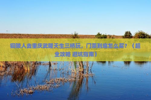 铜陵去重庆武隆天生三桥门票