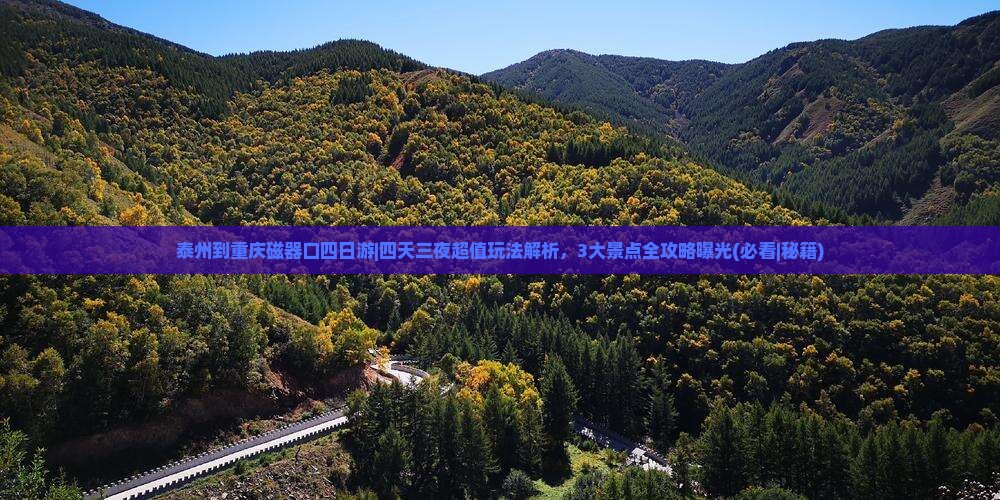 泰州到重庆磁器口四日游