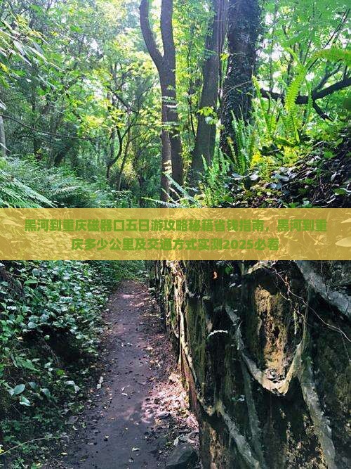 黑河到重庆磁器口五日游