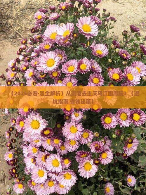 贵港去重庆乌江画廊哪里玩