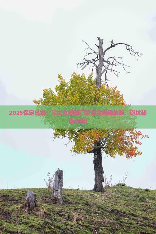 保定到重庆蚩尤九黎城门票