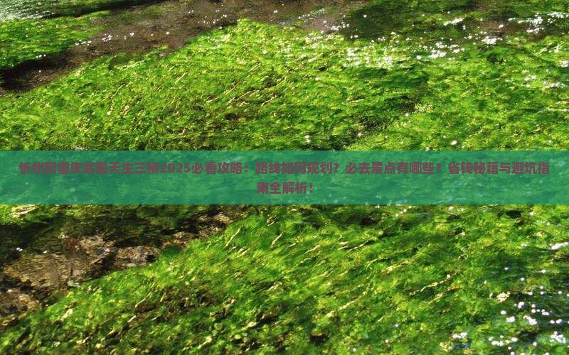 忻州到重庆武隆天生三桥必去地