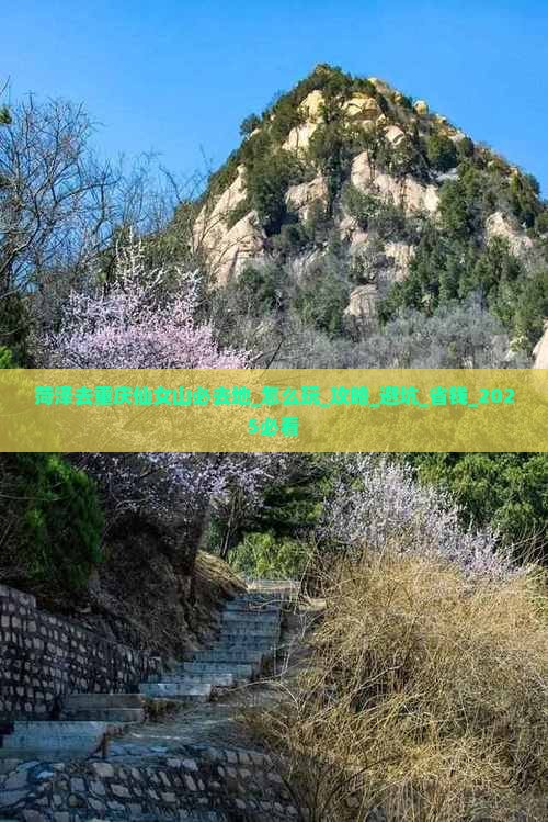 菏泽去重庆仙女山必去地