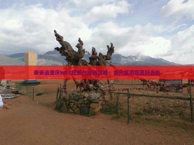 泰安去重庆wfc观景台哪里玩 泰安去重庆wfc观景台哪里玩