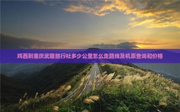 鸡西到重庆武隆旅行社
