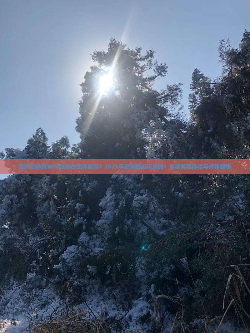 威海到重庆wfc观景台团体旅游