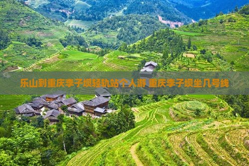 乐山到重庆李子坝轻轨站个人游