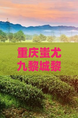 清远到重庆蚩尤九黎城旅行社