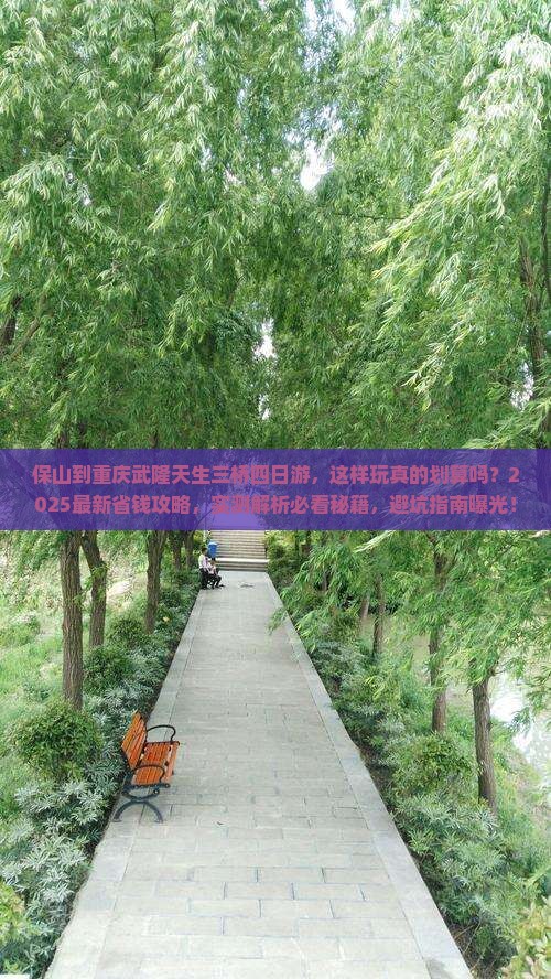 保山到重庆武隆天生三桥四日游