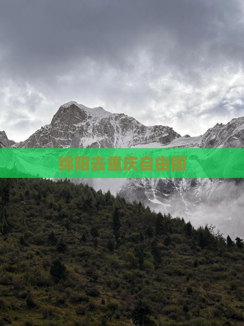 绵阳去重庆自由团