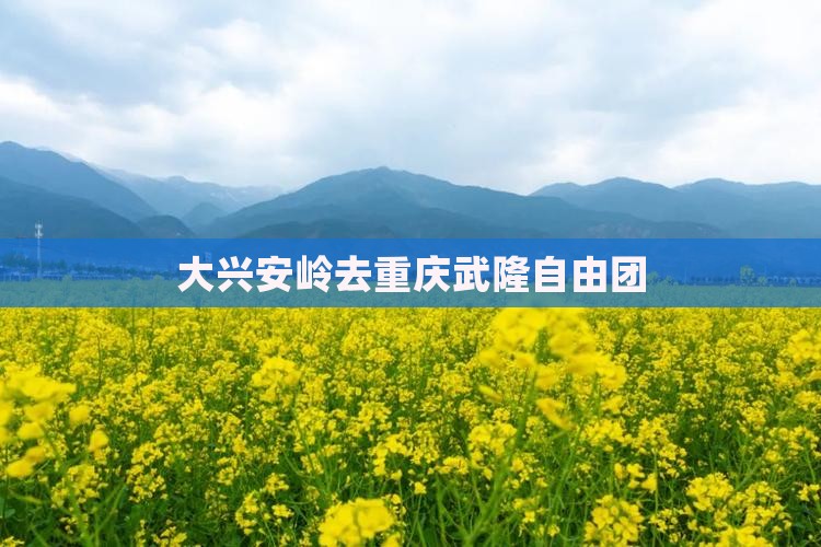 大兴安岭去重庆武隆自由团 大兴安岭去重庆武隆自由团
