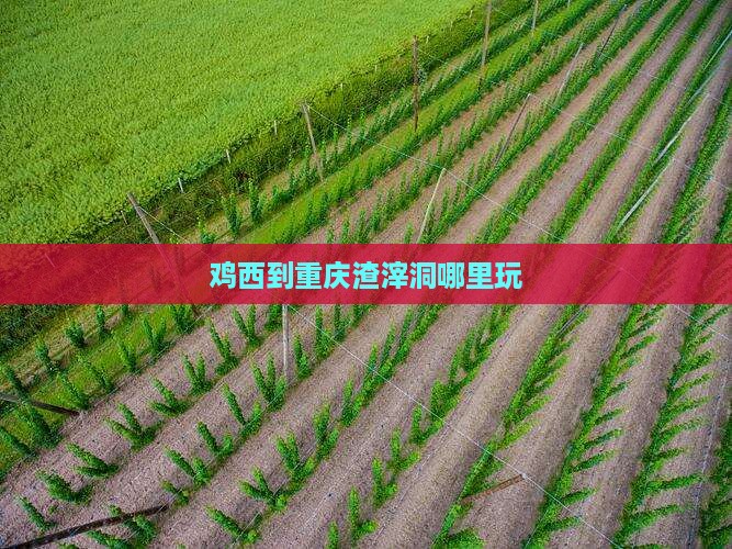 鸡西到重庆渣滓洞哪里玩