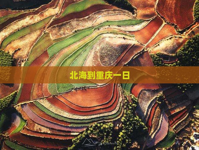 北海到重庆一日
