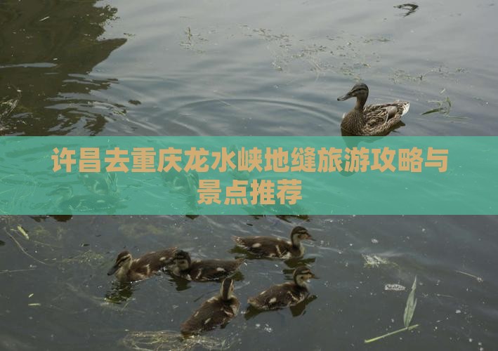 许昌去重庆龙水峡地缝旅行社