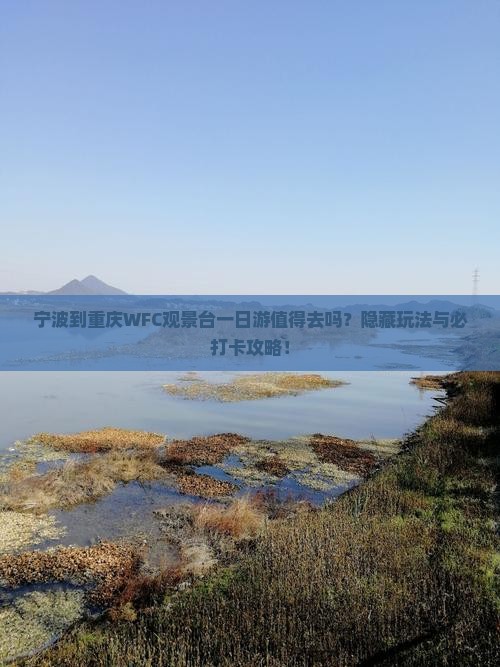 宁波到重庆wfc观景台一日