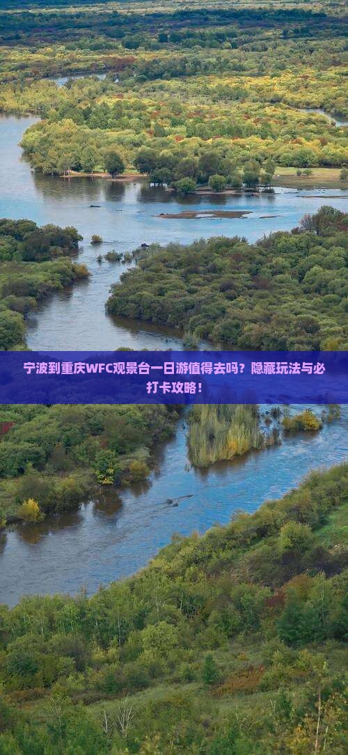 宁波到重庆wfc观景台一日