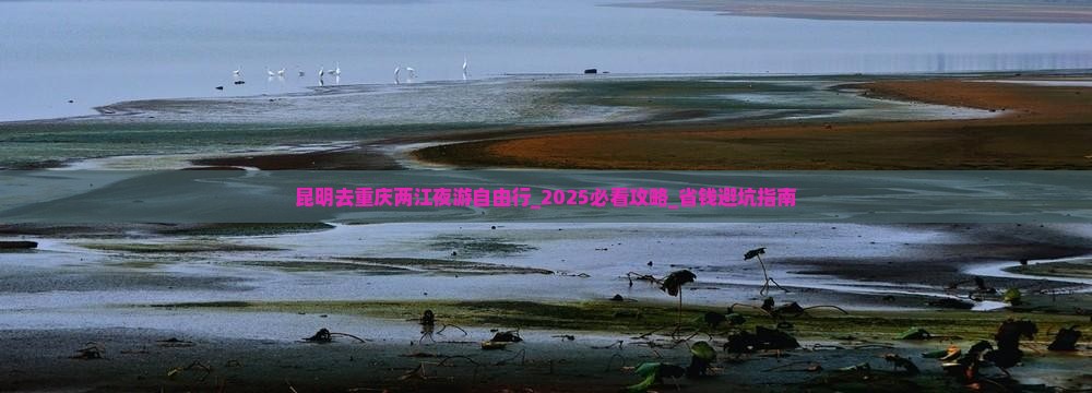 昆明去重庆两江夜游自由行