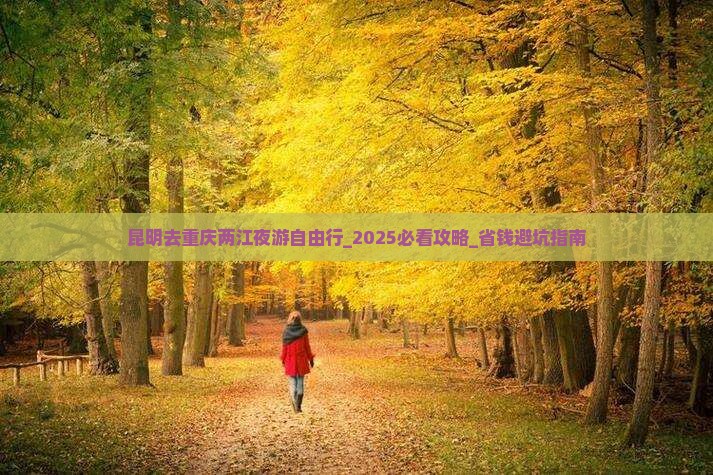 昆明去重庆两江夜游自由行