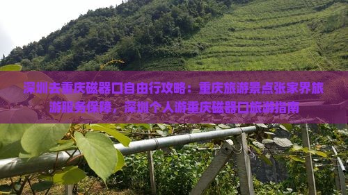 深圳去重庆磁器口个人游