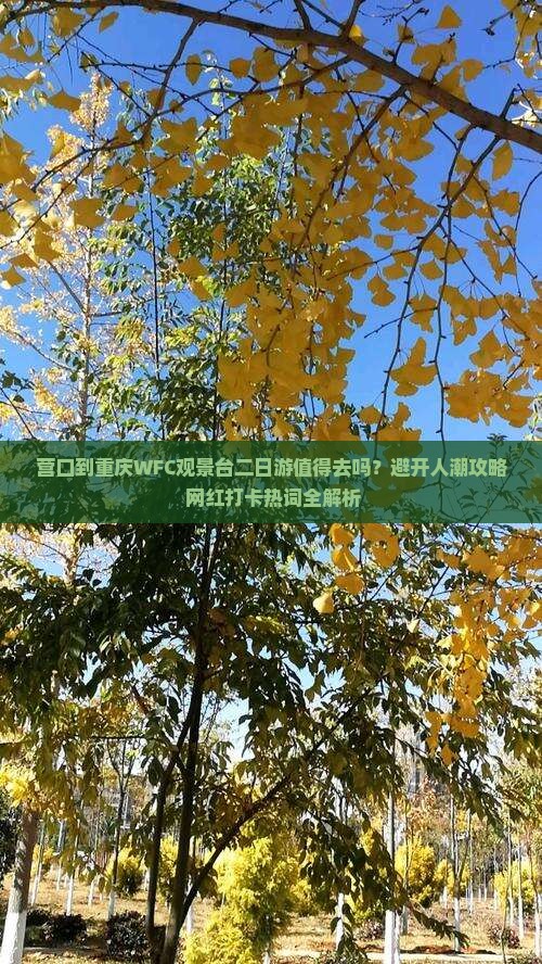 营口到重庆wfc观景台二日游