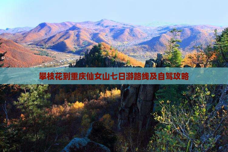 攀枝花到重庆仙女山七日游