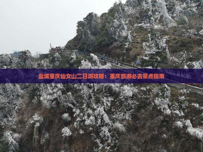 盐城去重庆仙女山二日游