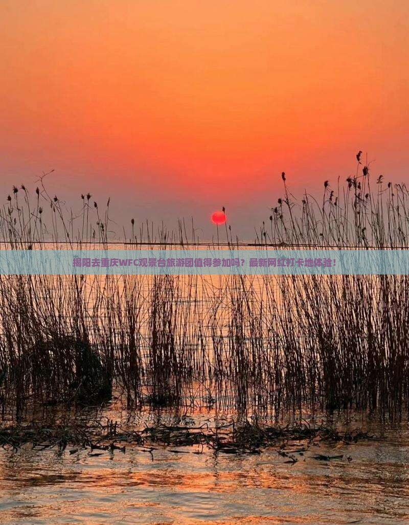 揭阳去重庆wfc观景台大型旅游团