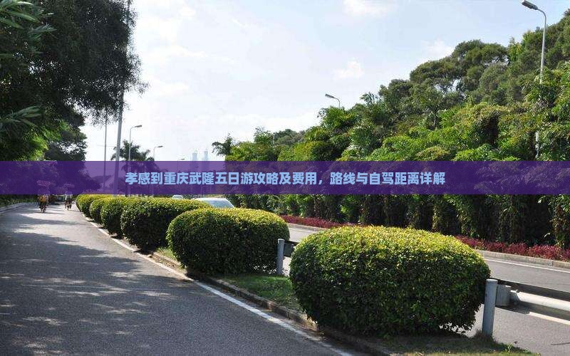 孝感到重庆武隆五日游