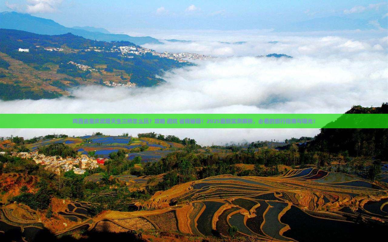 鸡西去重庆武隆天生三桥旅行社