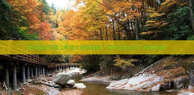 安庆去重庆两江夜游大型旅游团