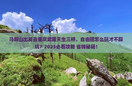 马鞍山去重庆武隆天生三桥自由团