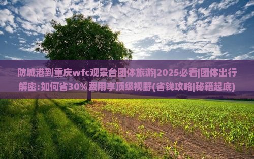 防城港到重庆wfc观景台团体旅游