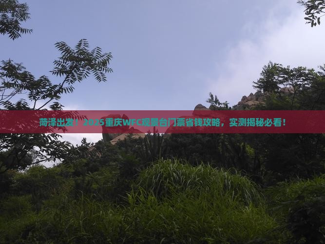菏泽去重庆wfc观景台门票