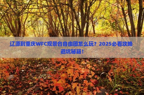 辽源到重庆wfc观景台自由团