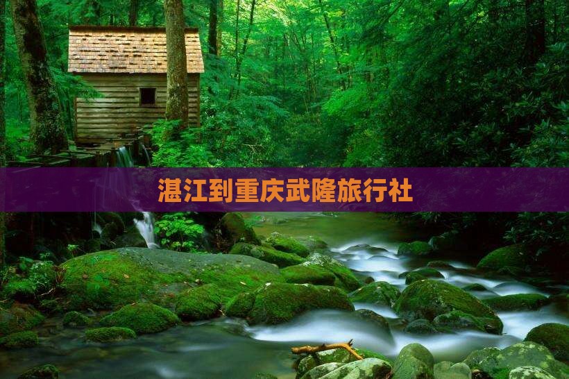 湛江到重庆武隆旅行社