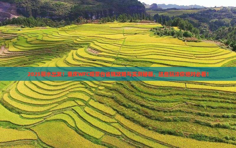 丽水到重庆wfc观景台哪里玩