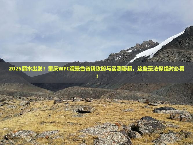 丽水到重庆wfc观景台哪里玩