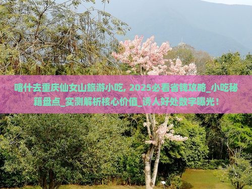 喀什去重庆仙女山旅游小吃 喀什去重庆仙女山旅游小吃