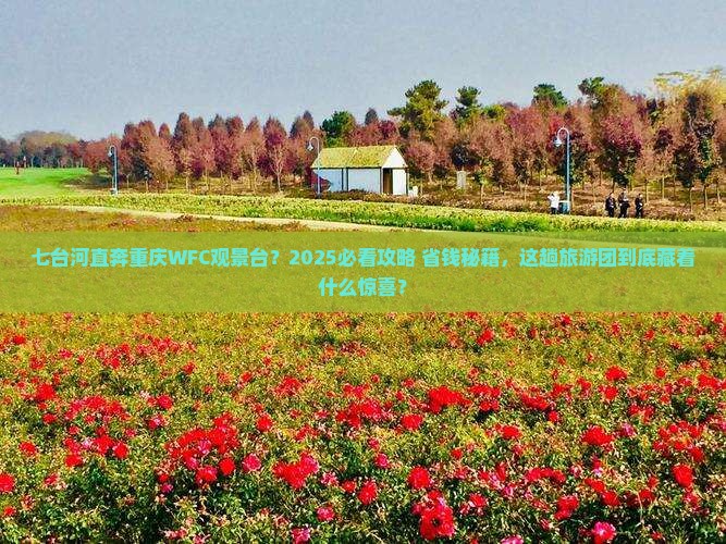 七台河到重庆wfc观景台大型旅游团