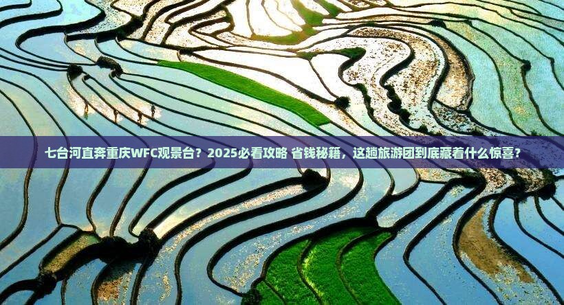 七台河到重庆wfc观景台大型旅游团