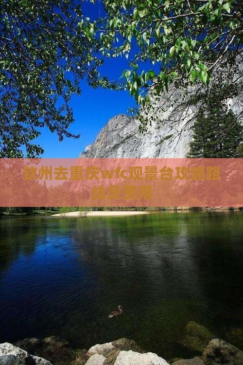 钦州去重庆wfc观景台攻略