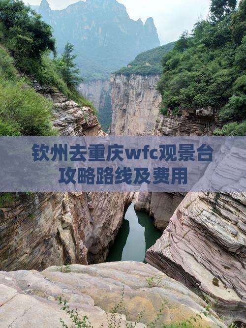 钦州去重庆wfc观景台攻略