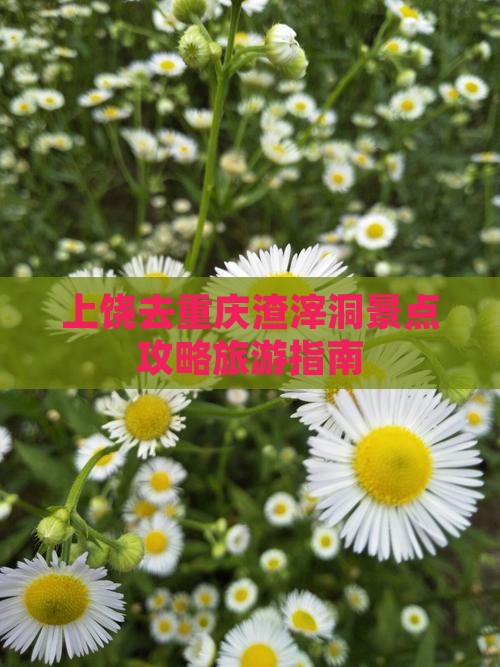 上饶去重庆渣滓洞景点
