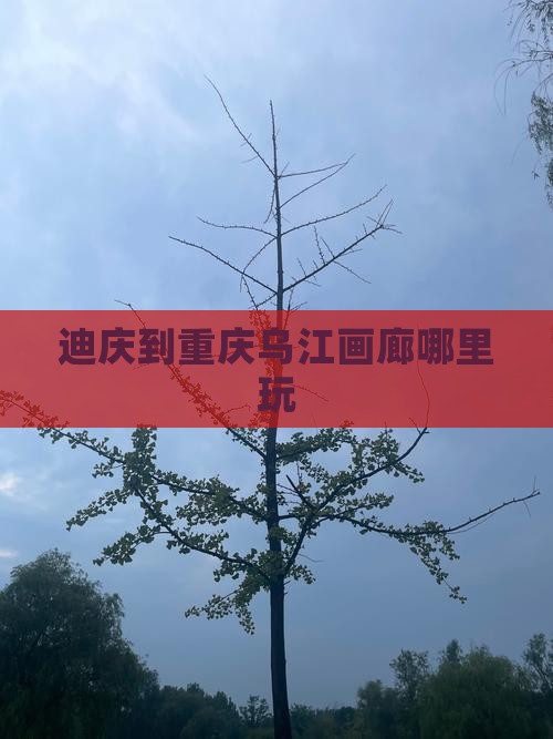 迪庆到重庆乌江画廊哪里玩