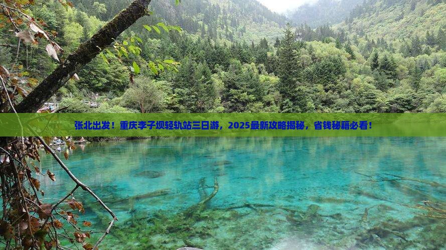 张北去重庆李子坝轻轨站三日游