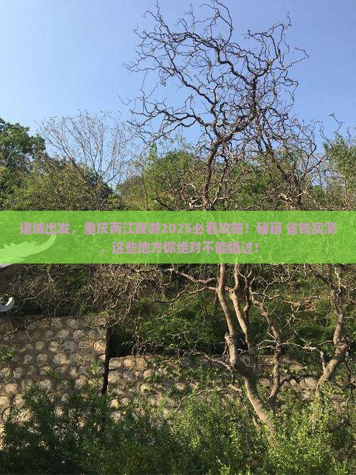 诸城去重庆两江夜游必去地