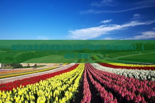 烟台去重庆武隆天生三桥一日