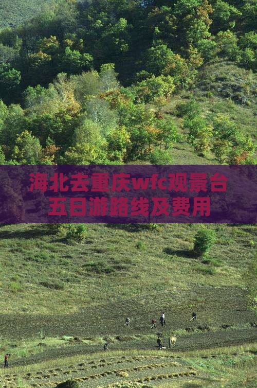 海北去重庆wfc观景台五日游 海北去重庆wfc观景台五日游
